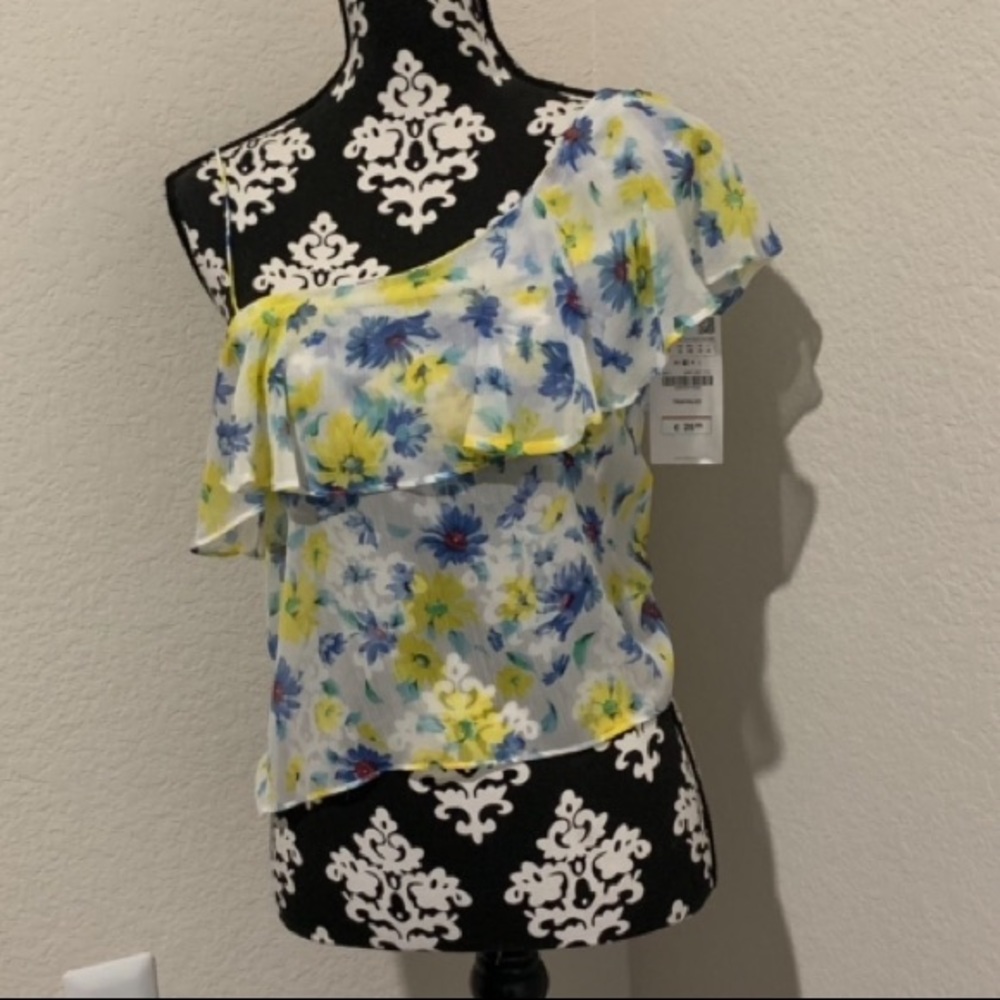 Zara Floral sheer chiffon blouse NWT